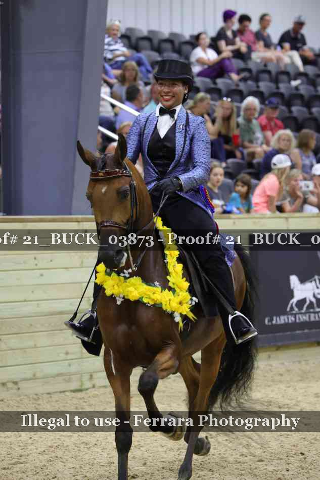 Proof 21_BUCK_03873