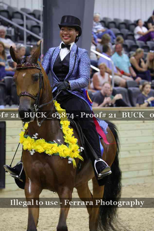 Proof 21_BUCK_03874