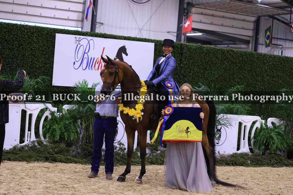 Proof 21_BUCK_03876
