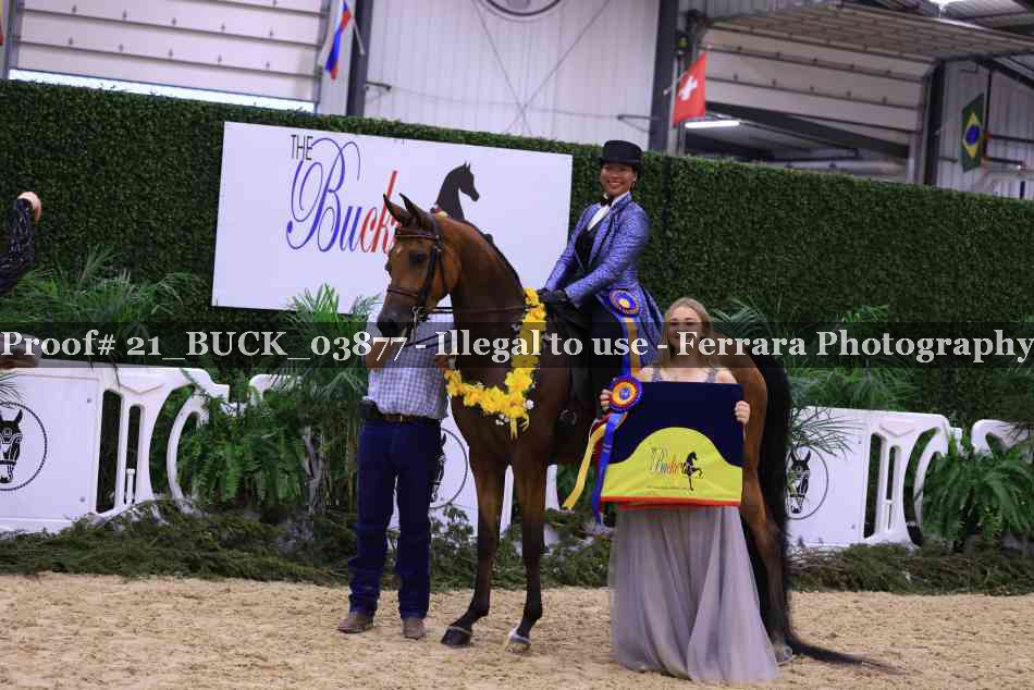 Proof 21_BUCK_03877