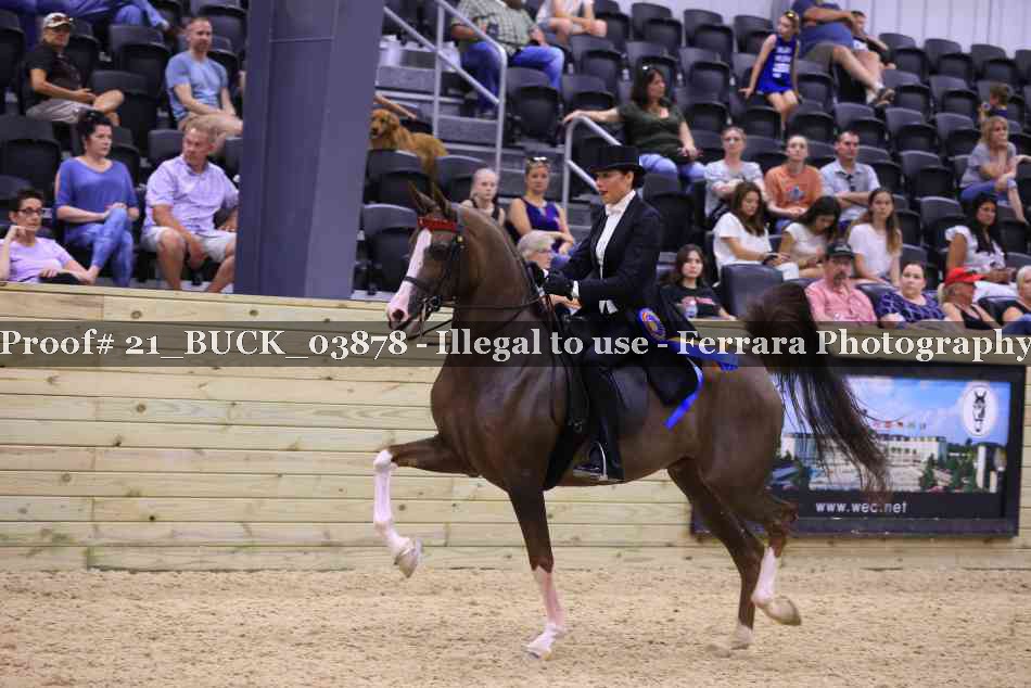 Proof 21_BUCK_03878