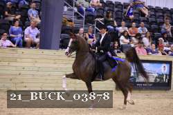 21_BUCK_03878 proof