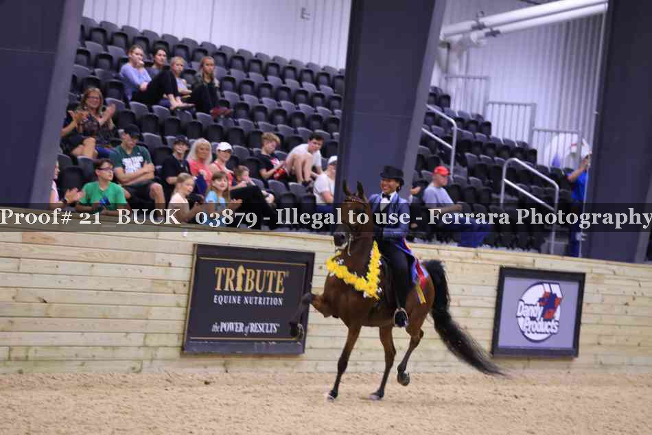 Proof 21_BUCK_03879