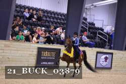 21_BUCK_03879 proof