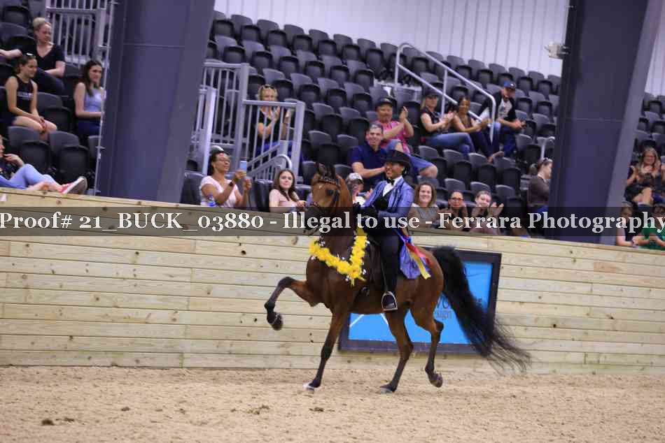 Proof 21_BUCK_03880