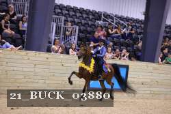 21_BUCK_03880 proof