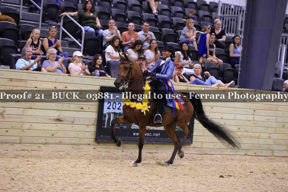 Proof 21_BUCK_03881