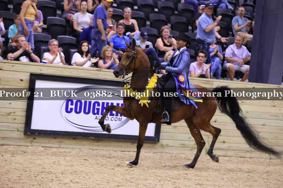 Proof 21_BUCK_03882