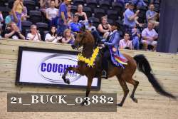 21_BUCK_03882 proof