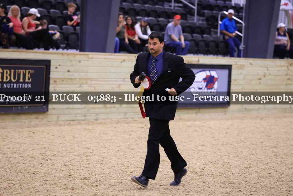 Proof 21_BUCK_03883