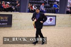 21_BUCK_03883 proof