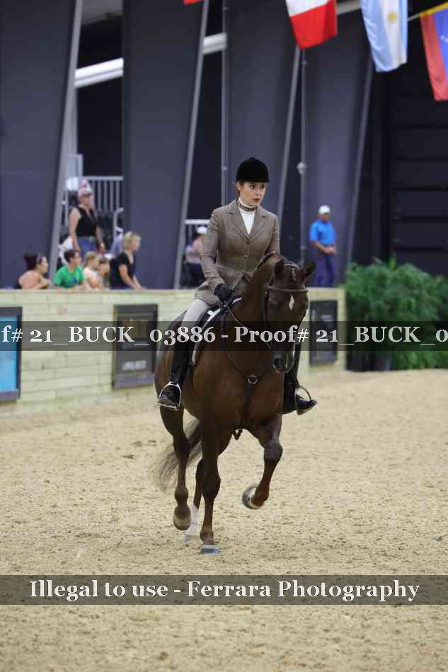 Proof 21_BUCK_03886