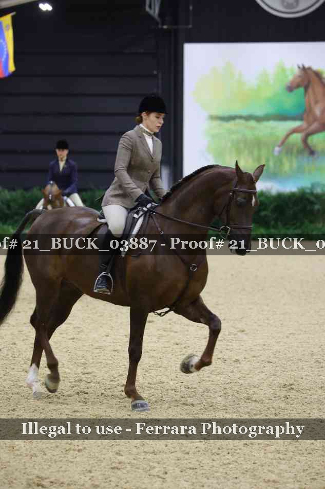 Proof 21_BUCK_03887