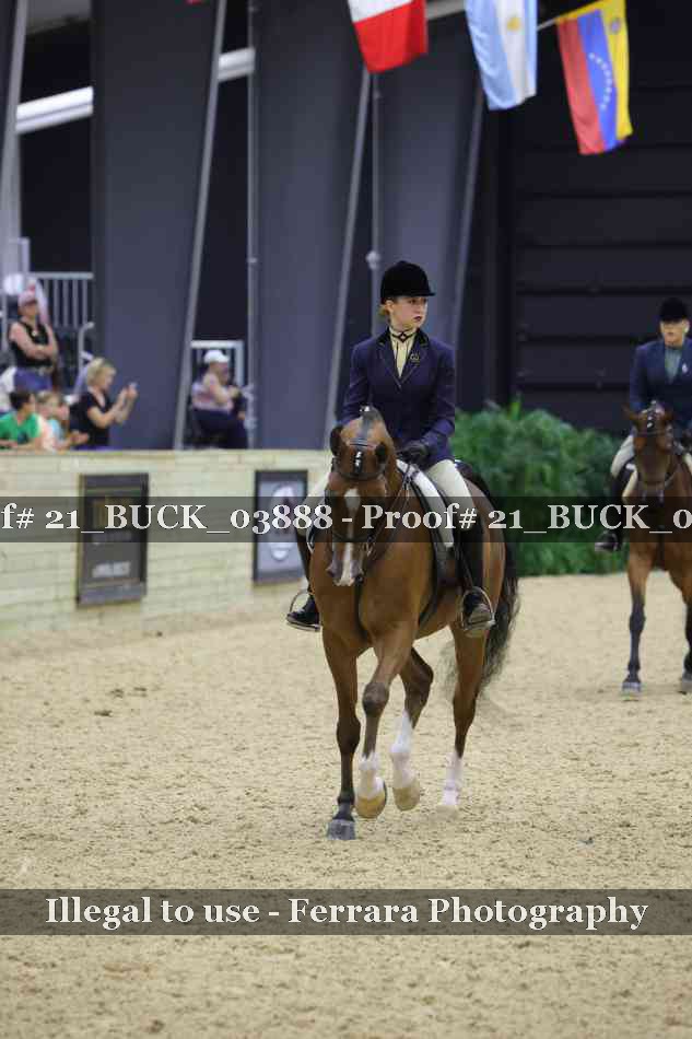 Proof 21_BUCK_03888