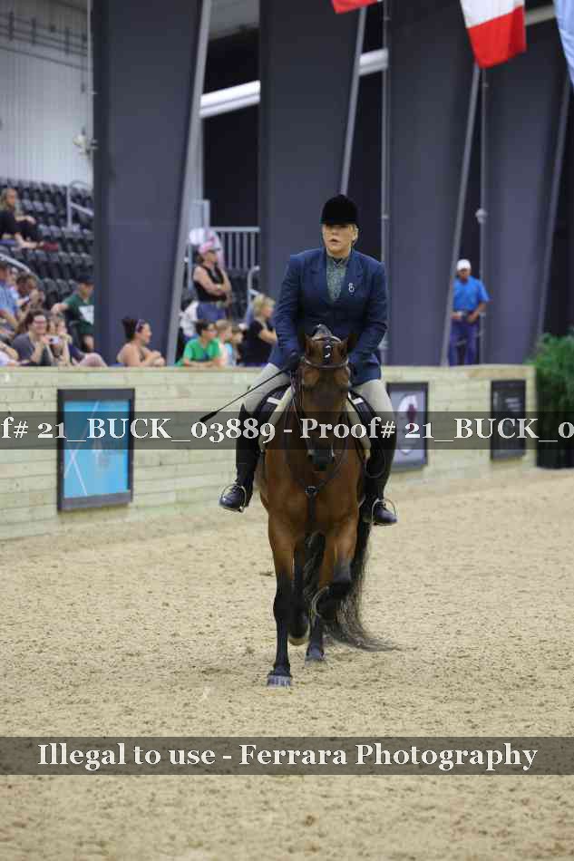 Proof 21_BUCK_03889