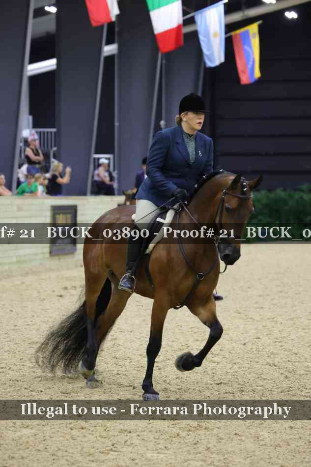 Proof 21_BUCK_03890