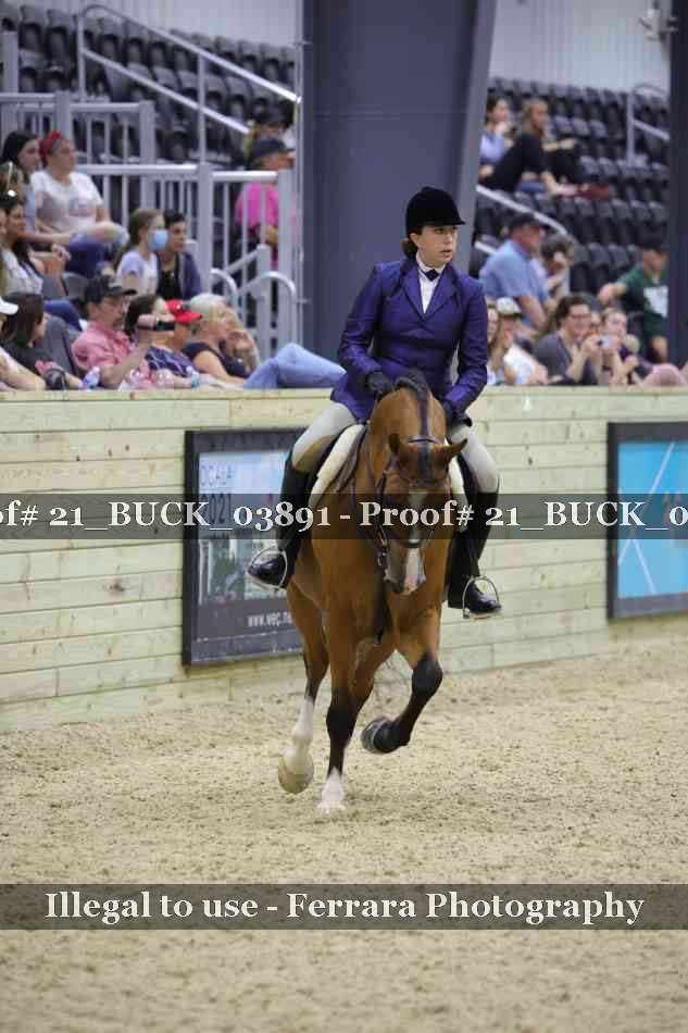 Proof 21_BUCK_03891