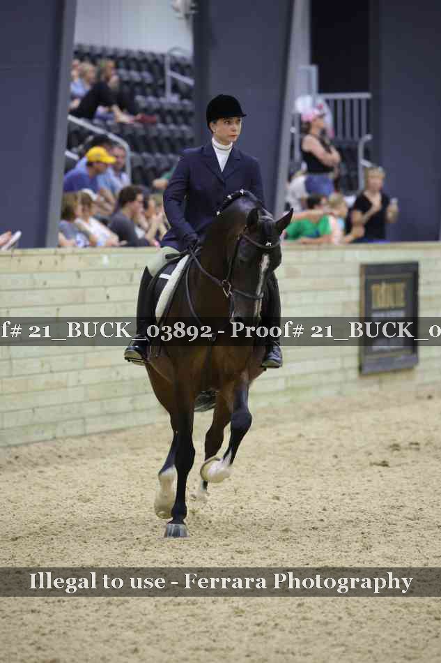 Proof 21_BUCK_03892