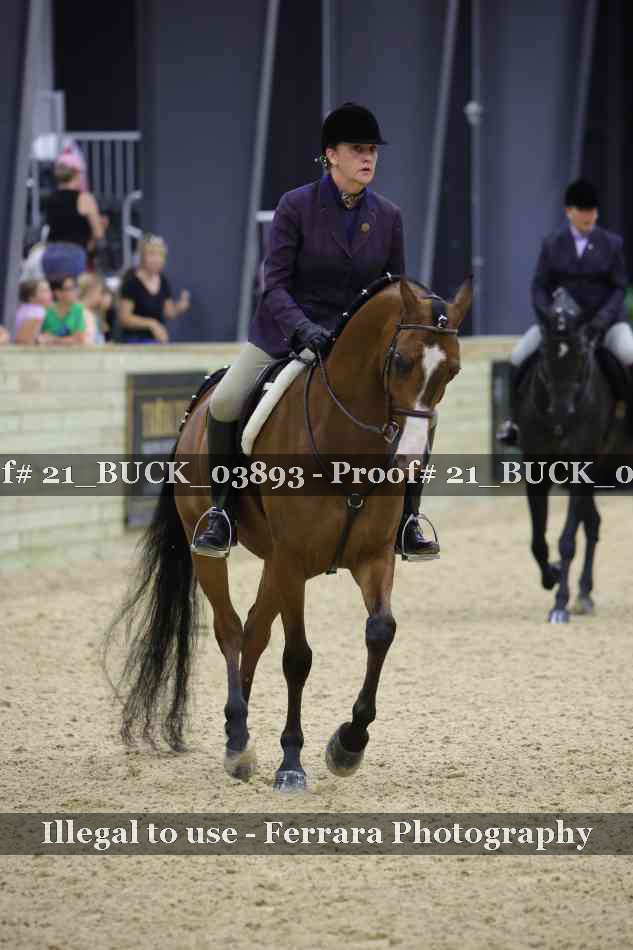 Proof 21_BUCK_03893