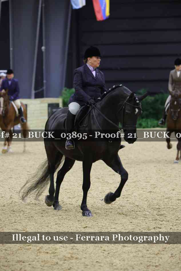 Proof 21_BUCK_03895