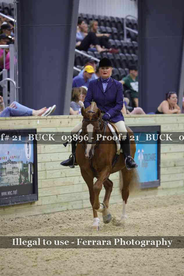 Proof 21_BUCK_03896