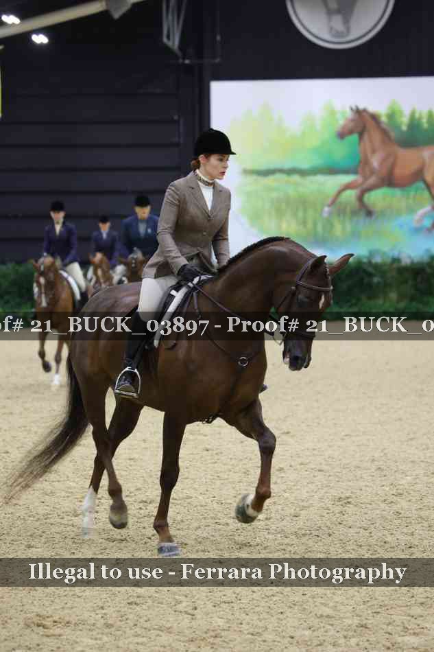 Proof 21_BUCK_03897