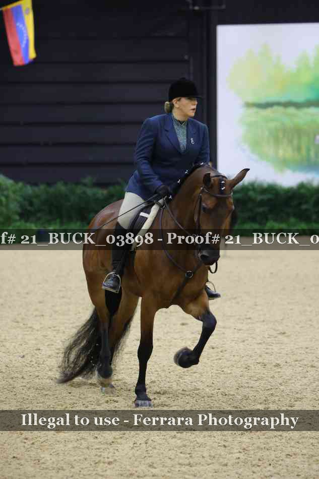 Proof 21_BUCK_03898