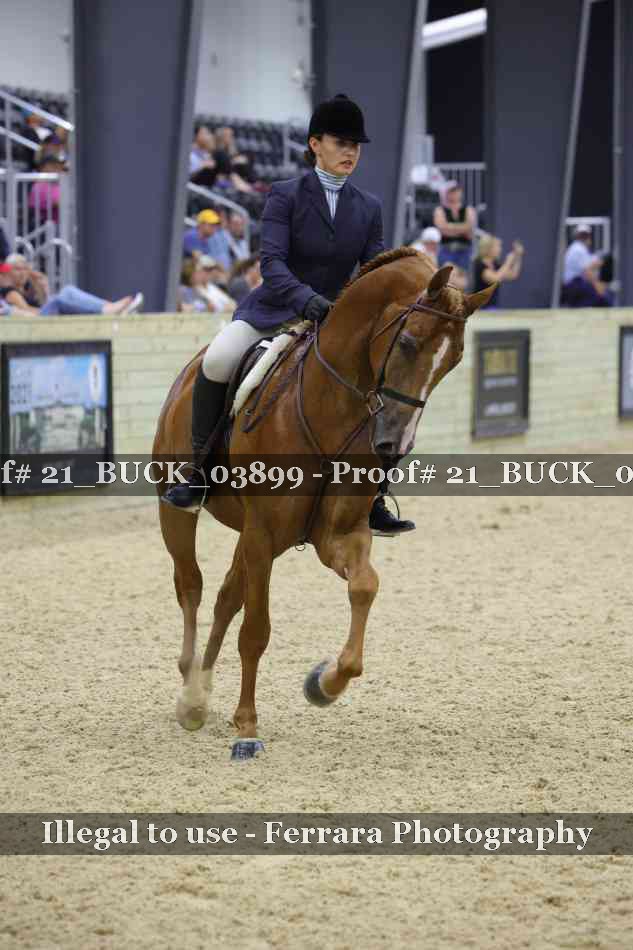 Proof 21_BUCK_03899