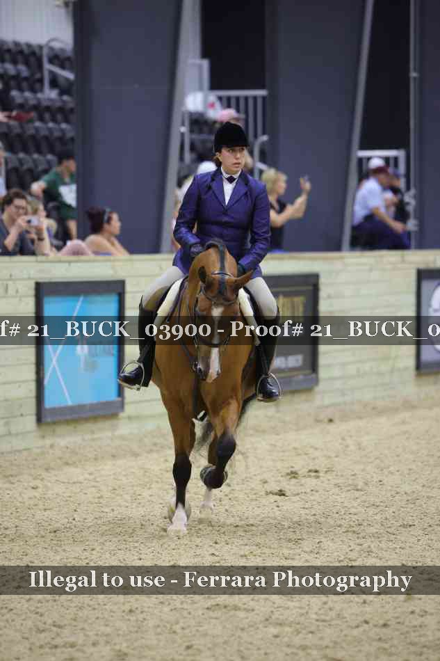 Proof 21_BUCK_03900