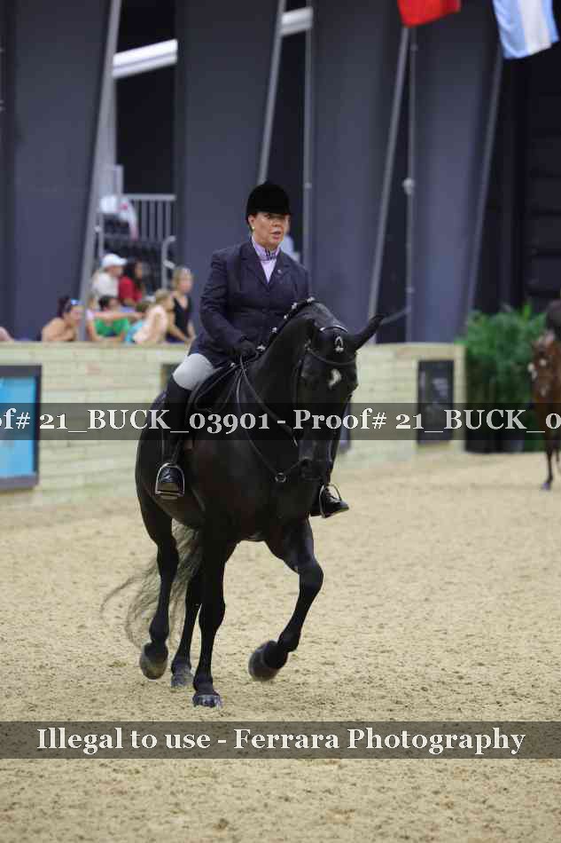 Proof 21_BUCK_03901