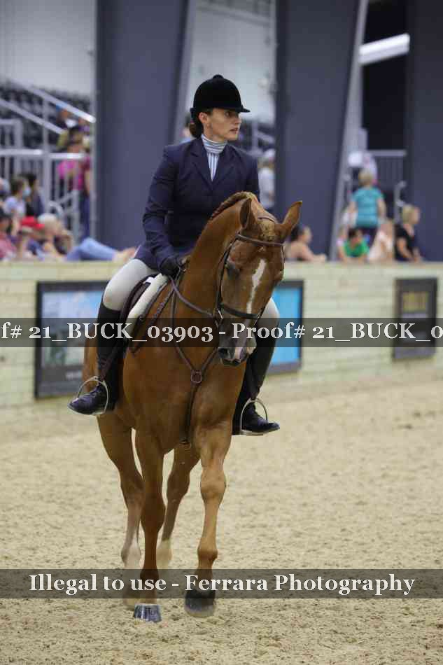 Proof 21_BUCK_03903