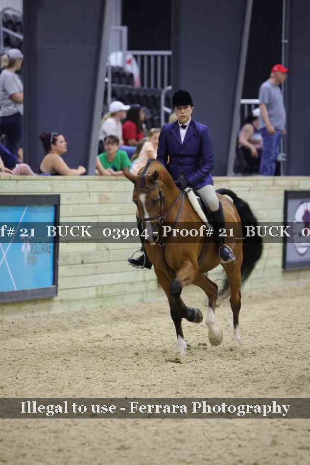 Proof 21_BUCK_03904