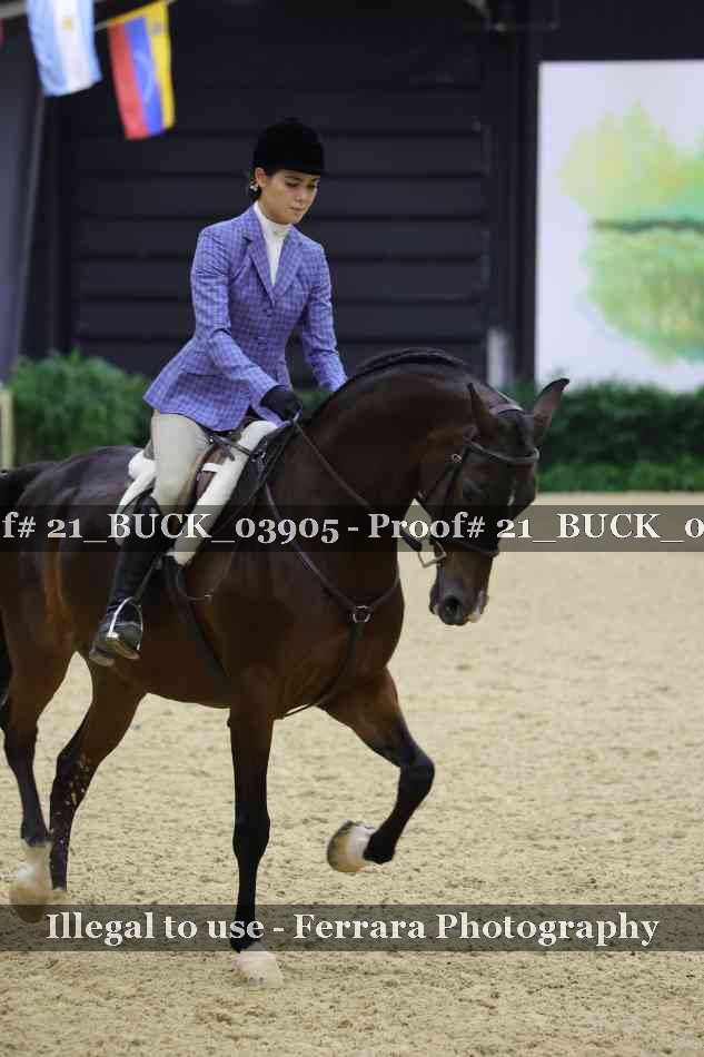 Proof 21_BUCK_03905