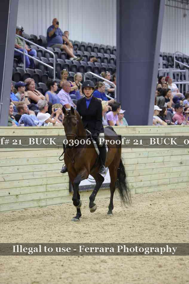 Proof 21_BUCK_03906