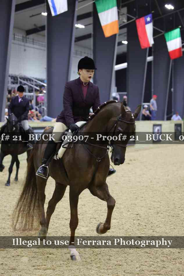 Proof 21_BUCK_03907