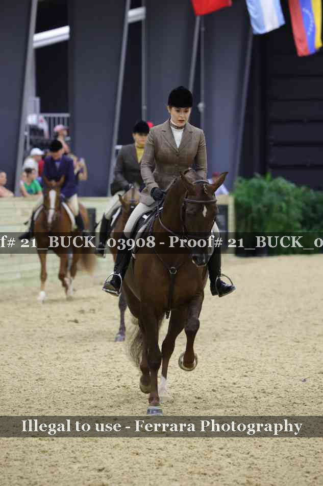 Proof 21_BUCK_03908