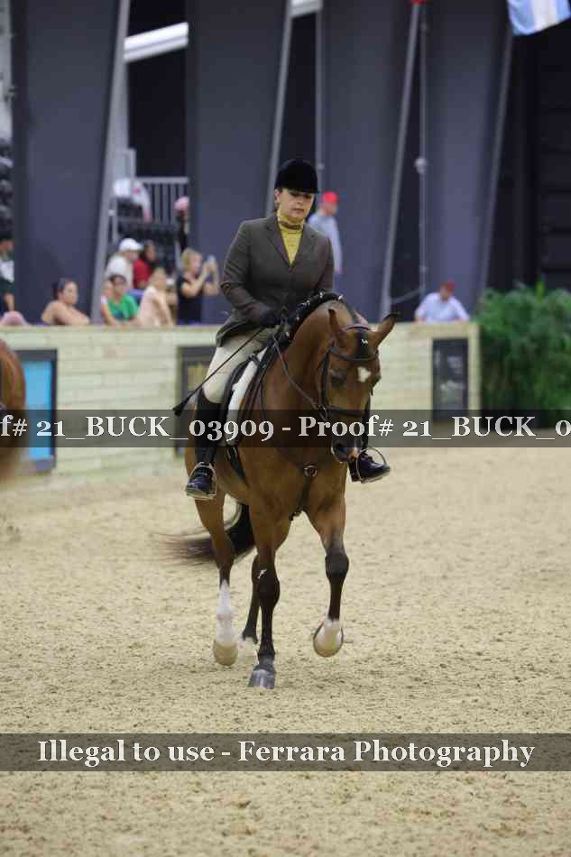 Proof 21_BUCK_03909