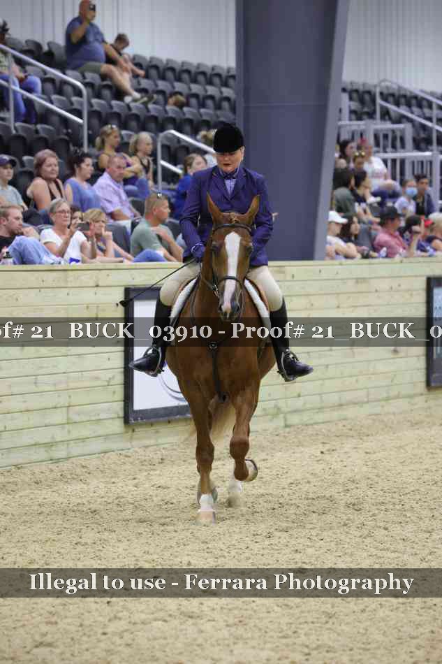 Proof 21_BUCK_03910