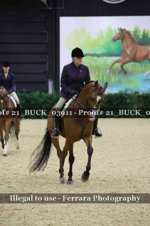Proof 21_BUCK_03911