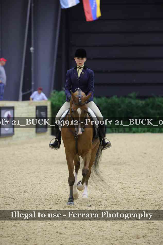 Proof 21_BUCK_03912