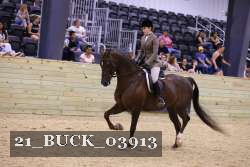 21_BUCK_03913 proof