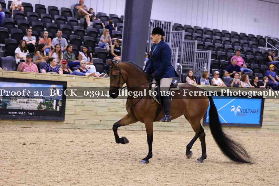 Proof 21_BUCK_03914
