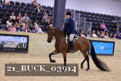21_BUCK_03914 proof