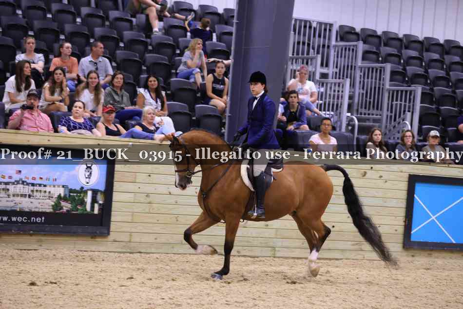 Proof 21_BUCK_03915