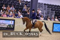 21_BUCK_03915 proof