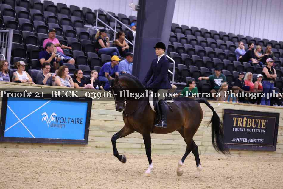 Proof 21_BUCK_03916