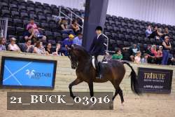 21_BUCK_03916 proof