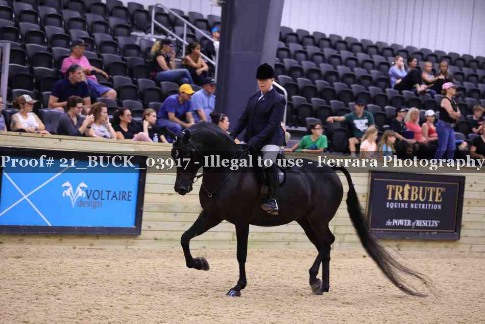 Proof 21_BUCK_03917