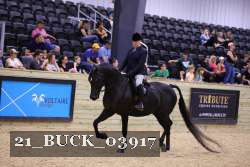 21_BUCK_03917 proof