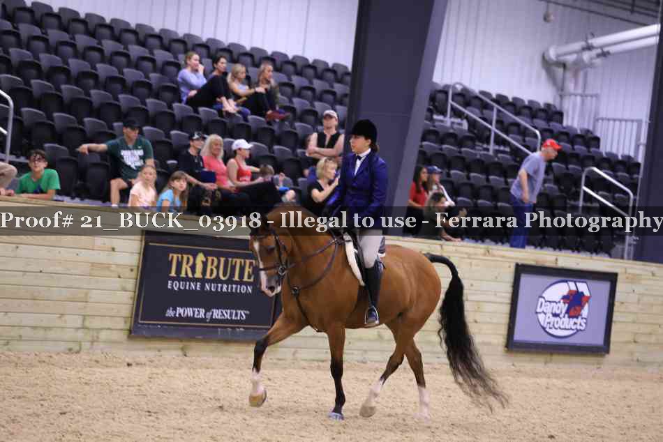 Proof 21_BUCK_03918
